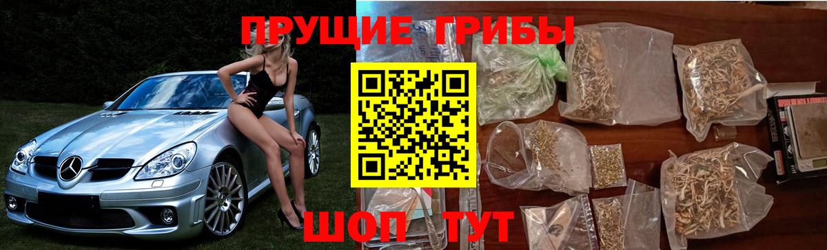 Галлюциногенные грибы Cubensis Фурманов
